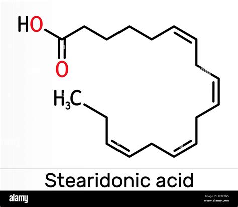 omega supplement sda health canada|Stearidonic Acid (SDA) Producing Soybean MON 87769 .